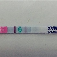 请大家帮我看看有没有机会怀上啊，2.27号排卵，这是刚刚测的排卵试纸，但是早上测的排卵试纸和zzy都是白...