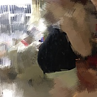 特别好奇想知道男孩女孩，还有50多天就生了，有经验的宝妈们帮忙看看男孩女孩。等待验证！🌸🌸🌸...