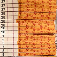 28排卵的亲们好孕了吗？我早早孕一直白板，789号排卵试纸很弱，今天测好像加深了一点。