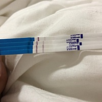 从上倒下中间每天早上测的，中间有颜色加深过..这两天怎么又越来越浅了？  大家是怎么样的？