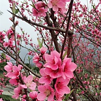 我想要生2019年的猪宝宝，问一下姐妹们，知不知道几月份开始怀，合适？