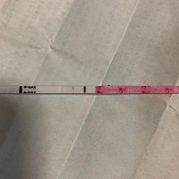 这样是怀孕了吗