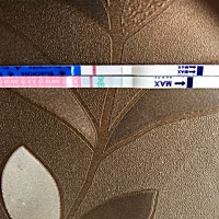 粉红色是排卵试纸，蓝色是早孕试纸，5号排卵日，是不是没有希望了？