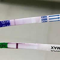 末次月经2.18，早上测出来了个这个，是有了还是没有啊？症状很像是有了，真闹心