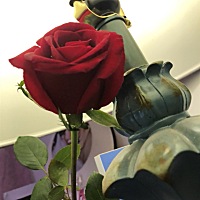 问一下，孕前期大家都有瘦吗😄😄😄