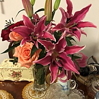 偶尔买百合来养，满屋飘香，今天才听朋友说不能养百合，有毒性，请问有没孕妈跟我一样在家里养百合，对...