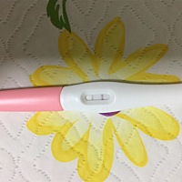 末次月经2月16号，今天早上刚测的，颜色浅浅的。