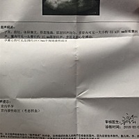 bc是大概八周左右做的  求大家帮忙看看男女？