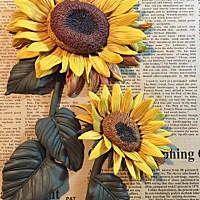 孕妇初期喝什么牌子的奶粉好呢，大家给推荐一下呗