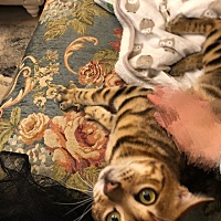 下周就可以看你咯 哎  他出差好久啊 不开心