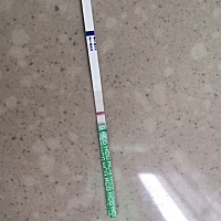 末次月经2月18日，今天3月17日早上04点测试如图，不确认是否怀上了，计划明天去验血