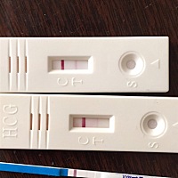 前面俩个是我3月14号检查的结果显示不是很明显的怀孕：可是今天我早上又有测孕棒为什么只有一扛啊……这...