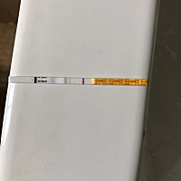 前两天的排卵试纸都是很红的，今天用早早孕测了一下，发现检测线好像有一点点浅线（不知道是不是自己眼...