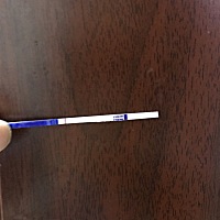 2.15号未次月经，排卵期同房了，到现在还没来，但是测试都是白板。每天都好烦。