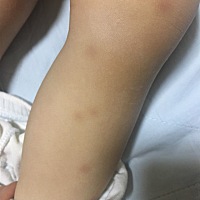 有谁知道这是什么吗？