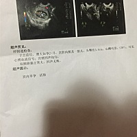 准爸妈请多指教