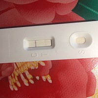 两道杠非常浅，快要来月经了！不知道是不是有了呢！