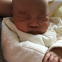 将近四十多天了，娃娃从每天白天必吐奶，到我今天发现应该是昨晚发现只要吃奶后不容易排出的奶嗝，轻松...