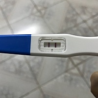 宝妈们  是怀了么  早上测的