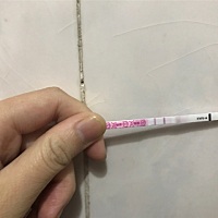 备孕快半年，一直没有好消息，心急如焚。这个月和老公出去蜜月旅行，回来姨妈就迟了，迟的第一天验孕棒...