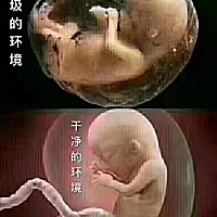 备孕的妈妈们，怀孕前为什么要调理？ 调理和不调理的区别自己看， 一个是干净健康的环境， 一个是充满垃...