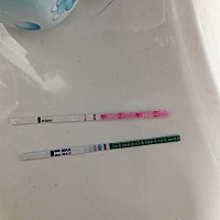 有没有末次月经2月16的姐妹们，你们都是什么时候测到的早早孕试纸强阳，我的怎么还没强阳呢？下图是今天...