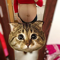 还有二十几天卸货...希望一切顺利！