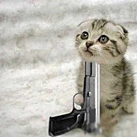 求教各位宝妈，第一次怀孕没有胎心就流了，有相同经历的吗，第二次怀孕需要检查哪些内容，好担心再次怀...