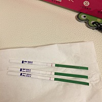 麻烦知道的姐妹回复一下，这个是有排卵吗？