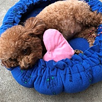 月经来了之前的月经状态怎么更改啊。求解