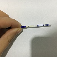 这是有还是没呢