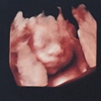 还有四十天就要见面了 我的肉球❤️