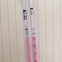 我刚才测的，左边是排卵试纸，右边是早早孕试纸，上周六去检查怀孕了，可是早早孕试纸到现在还没有强阳...