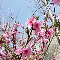 上午陪老婆产检，老婆说听到宝宝心跳声好激动，我听的也好激动，感觉很神奇，母爱伟大。医生说要补钙，...