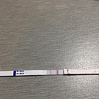 这个是排了还是没有啊