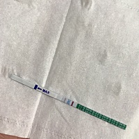 请问这是怀孕了吗？？？？