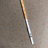 今天是排卵日为什么测出来的这么淡，有哪位朋友知道是什么原因吗？