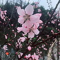 散步一上午，终于感觉到散步有蛮累了，走在回来的路上总感觉顶着个球硬邦邦的了，老公笑我逛街一天都不...