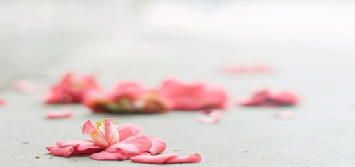 单子每天都和大家分享不一样的文字、音乐、情感故事，
把温暖和感动送到每一位需要他的人的耳边，单子的作品一直是只有一段音频或一段视频，没有花里胡哨的排版，没有费尽心思的文字，
用最单纯的心思，最温暖的情感，治愈每一个人。

是的，就是这么一个用声音陪伴你，温暖你的单子
即将入住！

在这个世界里你需要一个温暖的声音
在这个城市里你需要一种自由的呼吸，男人和女人同样都需要治愈，尤其是怀孕的准妈妈们每个人在各自的生活里，总有那么些不如意，所以单子来了。