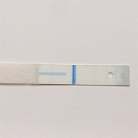 今天早上测的可丽兰，大卫茂盛有茂盛没有，不知道是不是可丽蓝自带的，姐妹你们有这样的吗，我上个月20...