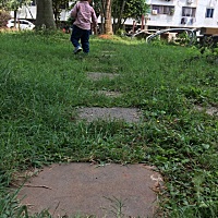 我师傅说过一句话，只有坚持别人不能坚持的，才能收获别人不能收获的。这句话很有道理。😴