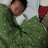 爱皱眉头的小家伙