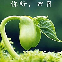 优秀，是一种习惯！ 旅行，是一种见识！ 独立，是一种认知！