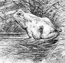 答案是三根还是四根，关键在于你站在哪个位置看。

第二幅图：看一下这幅图，您看到的是什么？