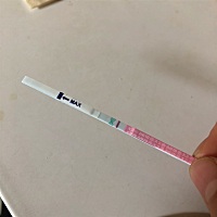 9号末次，20号排卵，马上要来例假（3号），可是早早孕大白板，用排卵试纸测是一条很浅的印。有没有懂的...