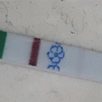 各位有经验的亲帮忙看看，我这是不是怀孕了？第二条杠颜色非常浅