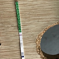 同房第十一天测出来的，怎么看的阿