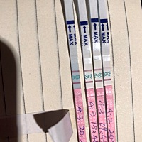 各位姐妹，我上个月各位姐妹，我上个月23号来的月经。27号结束。周期28天，4月一日就是前天去监测卵泡1....