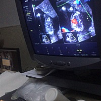 各位亲们，有谁看的懂？我想知道一下是男是女