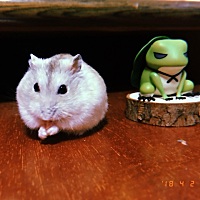 来姨妈前肚子好大，你们会吗？？